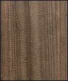 ֱ�y�ں���